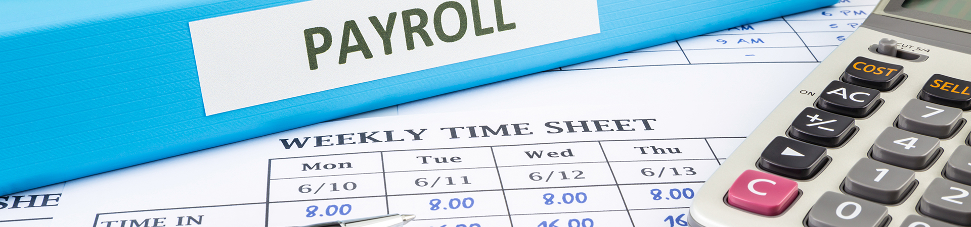 Payroll and pension auto enrolment